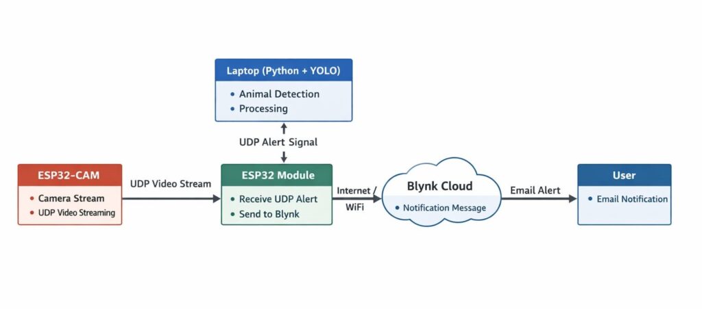 whatsapp image 2026 01 31 at 4.55.04 pm